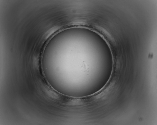 X0000101431162200807141234
