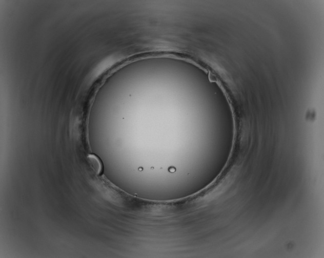 X0000101431163200807141234