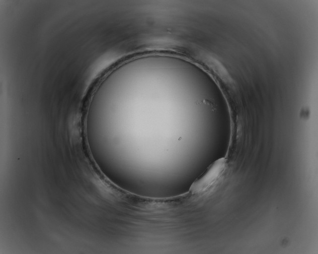 X0000101431164200807141234