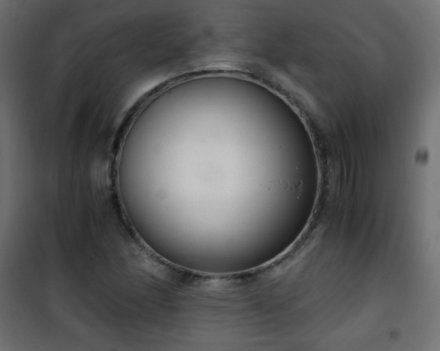 X0000101431166200807141234