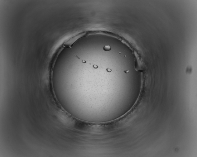 X0000101431167200807141234