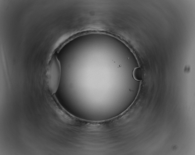 X0000101431168200807141234
