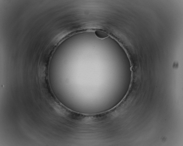 X0000101431169200807141234