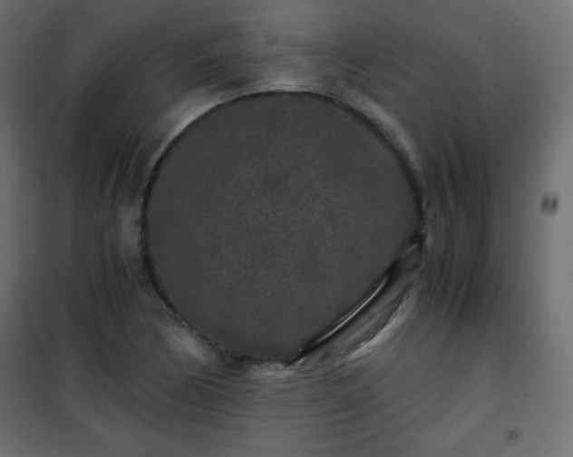 X0000101431170200807141234