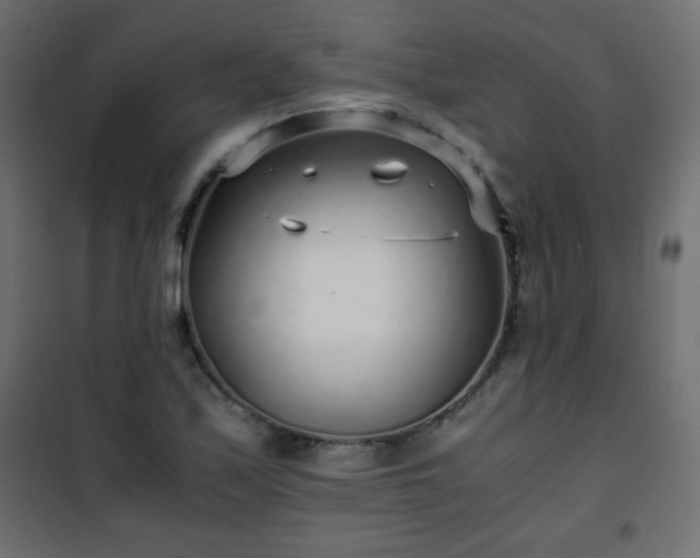 X0000101431171200807141234