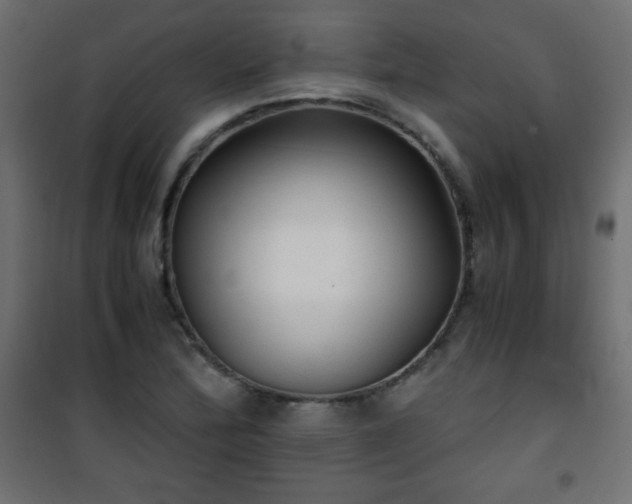 X0000101431172200807141234