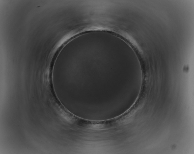X0000101431173200807141234