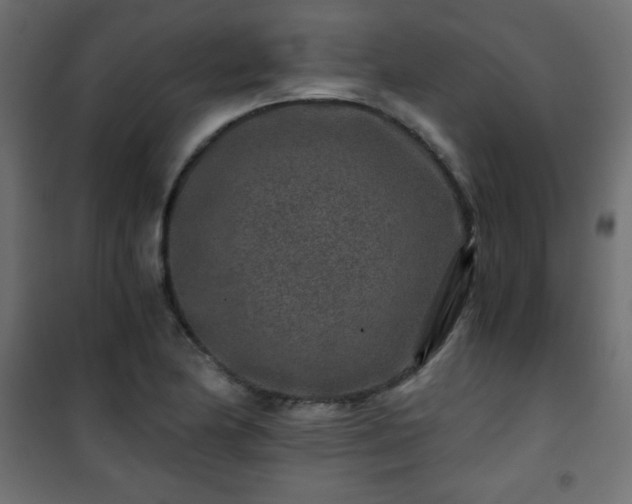 X0000101431174200807141234