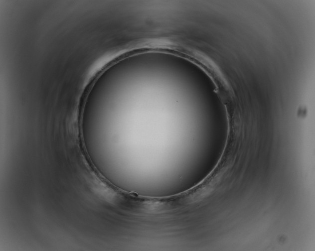 X0000101431176200807141234