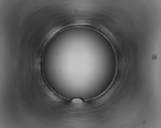 X0000101431177200807141234