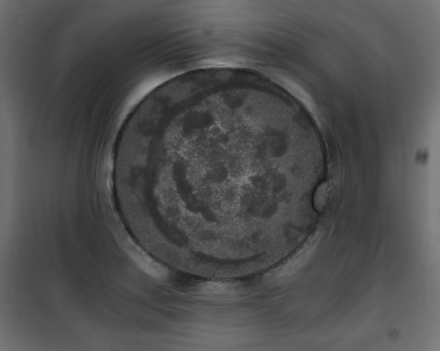 X0000101431179200807141234