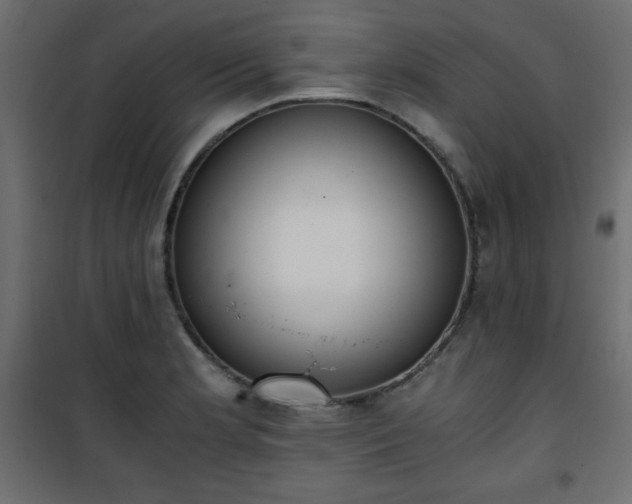 X0000101431181200807141234