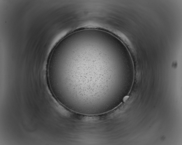 X0000101431183200807141234