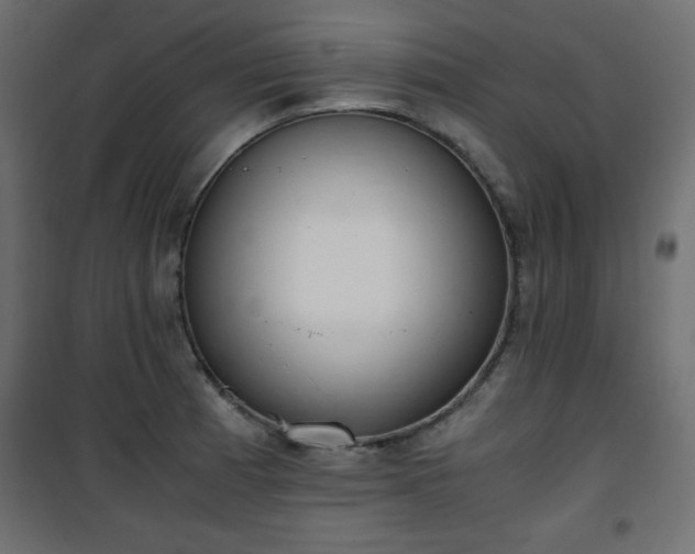 X0000101431185200807141234