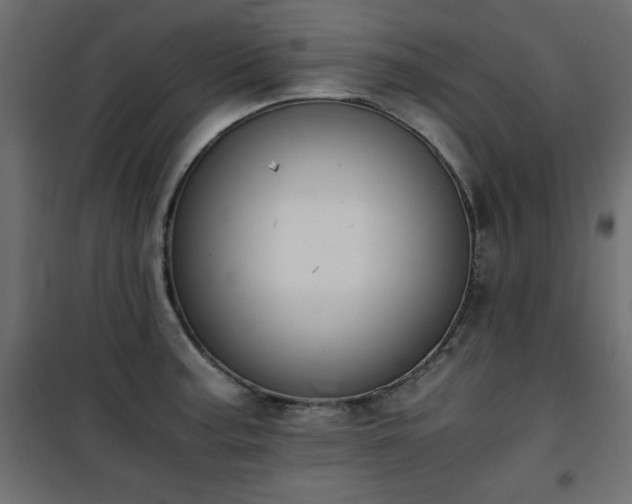 X0000101431187200807141234