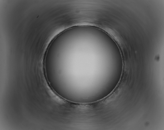 X0000101431189200807141234