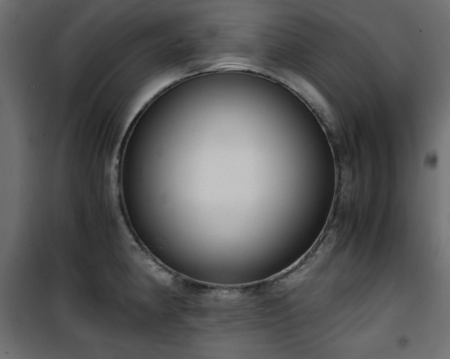 X0000101431190200807141234