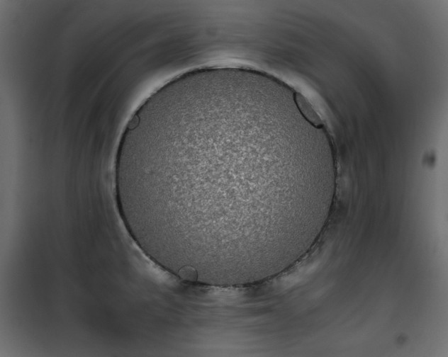 X0000101431191200807141234