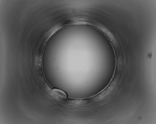 X0000101431193200807141234