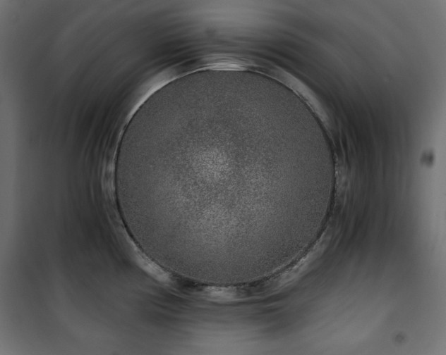 X0000101431194200807141234