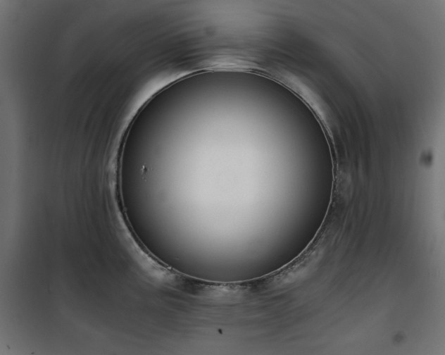 X0000101431195200807141234