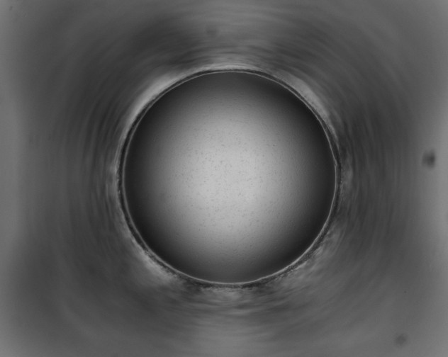 X0000101431197200807141234