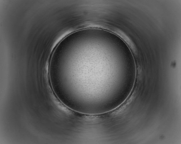 X0000101431198200807141234
