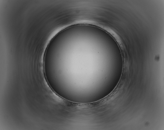 X0000101431199200807141234