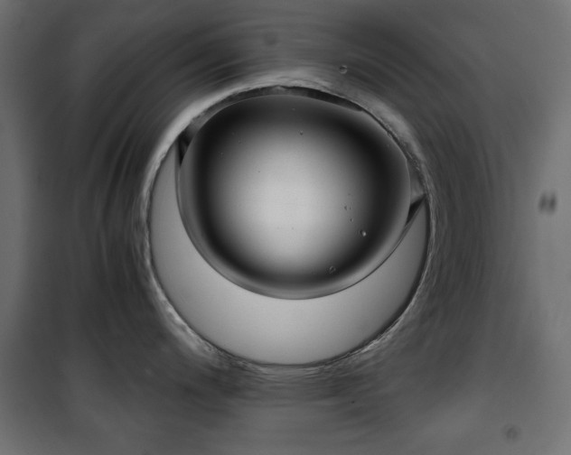 X0000101431200200807141234