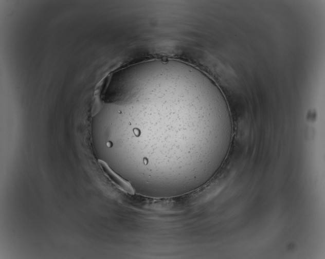 X0000101431201200807141233
