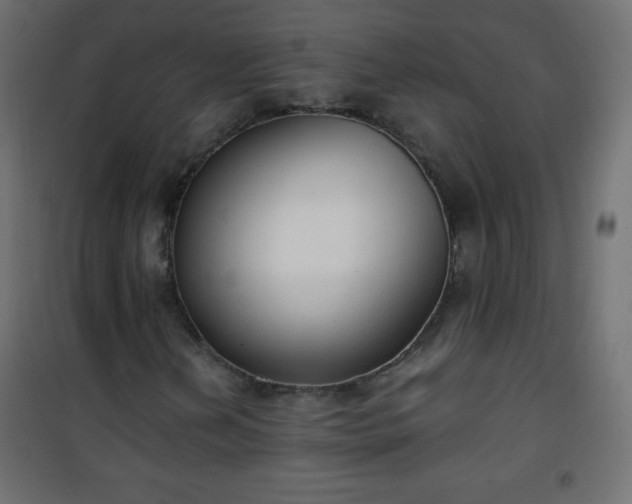 X0000101431202200807141233