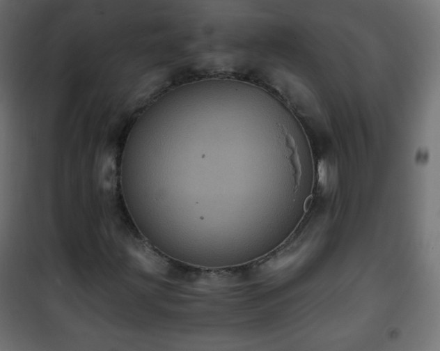 X0000101431203200807141233