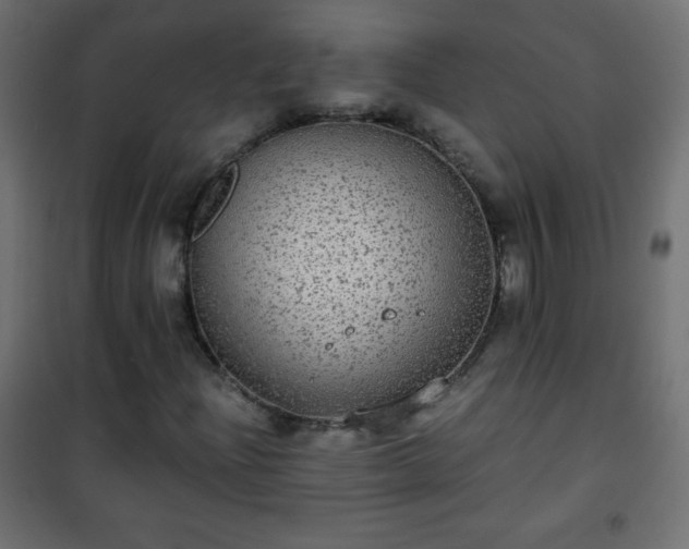 X0000101431204200807141233