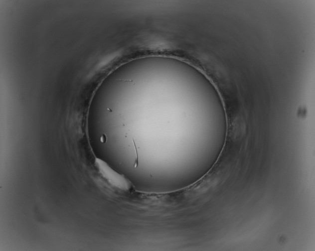 X0000101431205200807141233