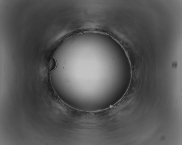 X0000101431206200807141233