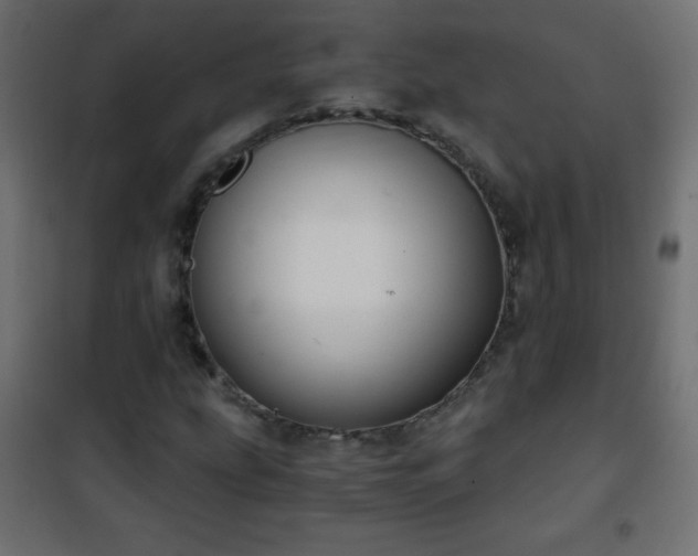 X0000101431207200807141233