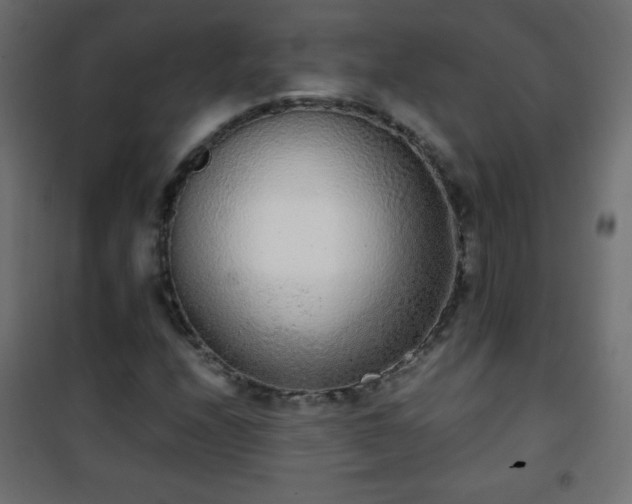 X0000101431208200807141233