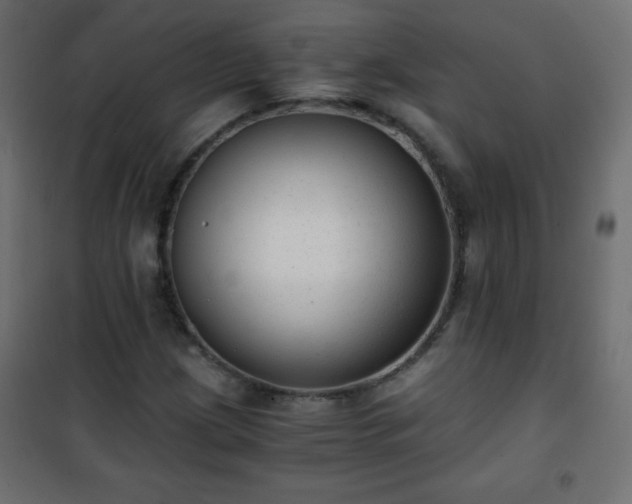X0000101431209200807141233
