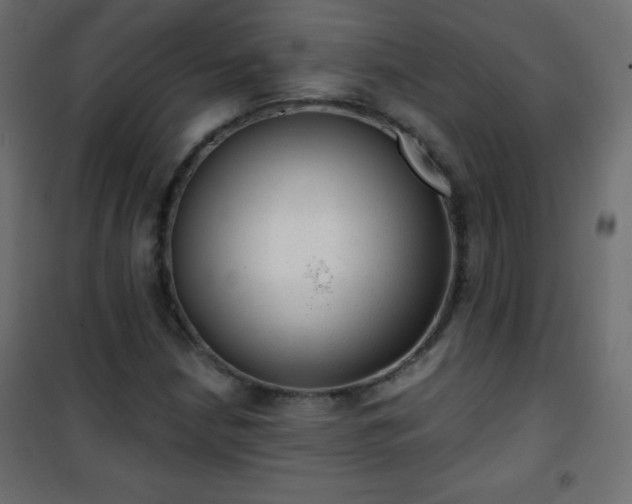 X0000101431210200807141233