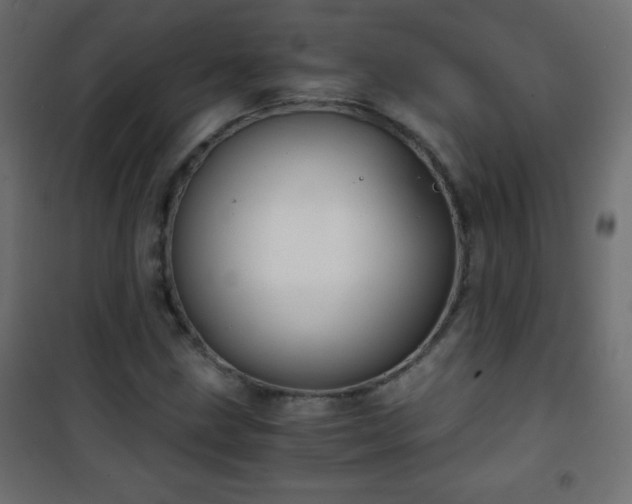 X0000101431211200807141233