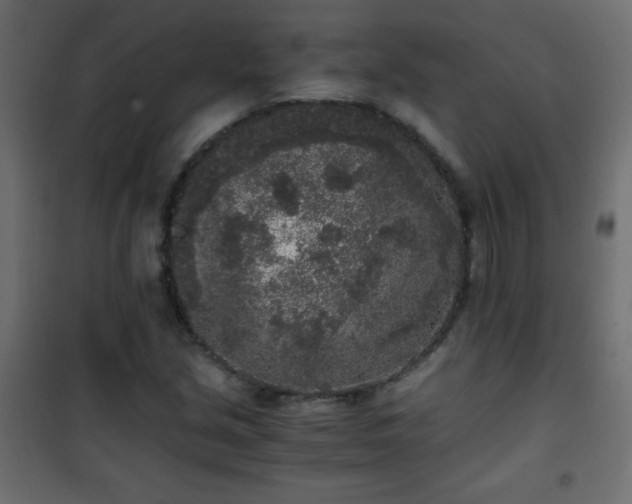 X0000101431213200807141233