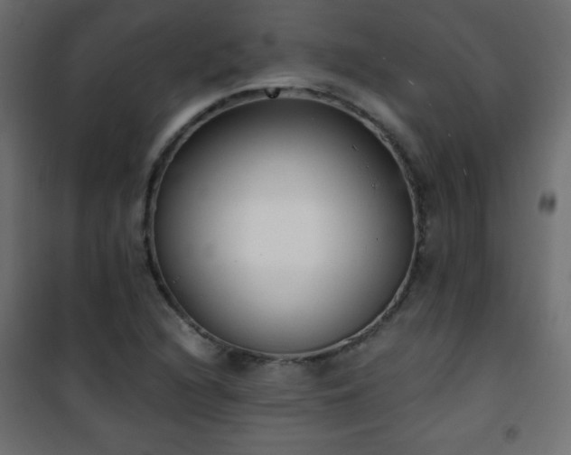 X0000101431216200807141233