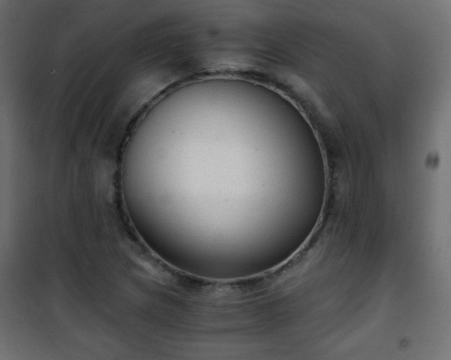 X0000101431217200807141233