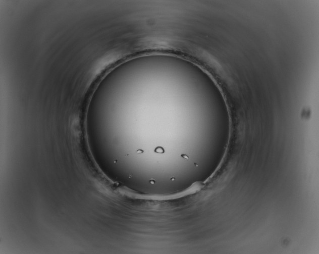X0000101431218200807141233