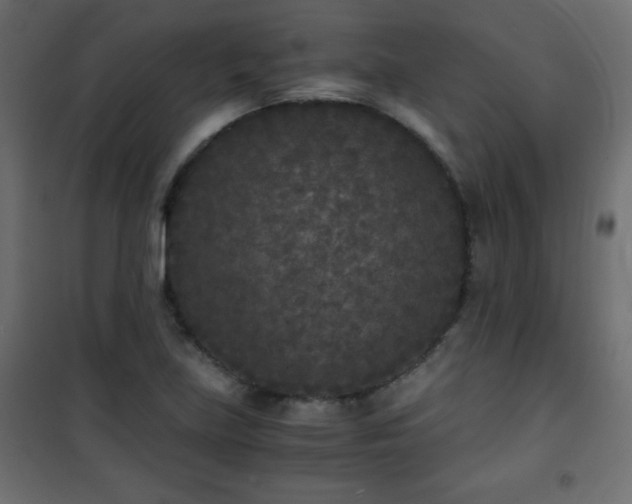 X0000101431219200807141233
