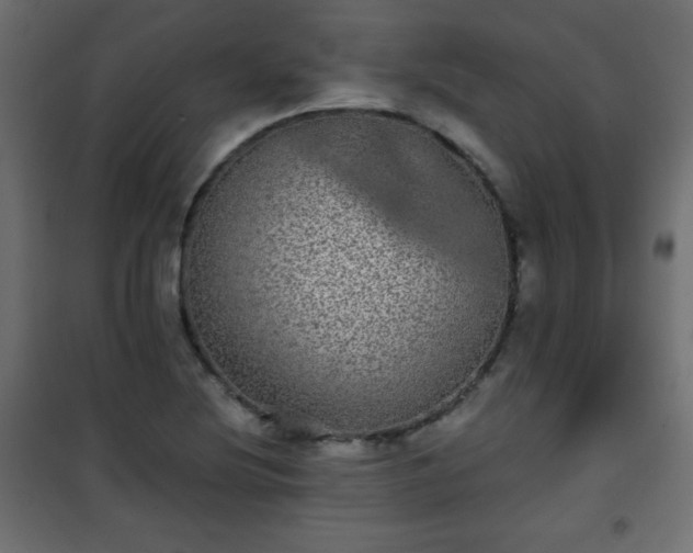 X0000101431220200807141233