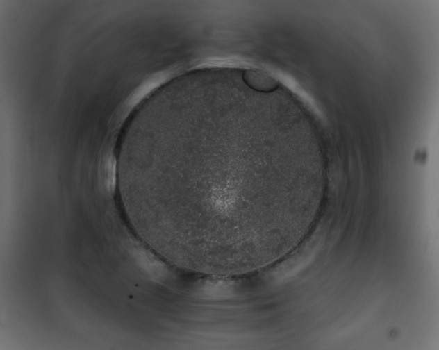 X0000101431221200807141233