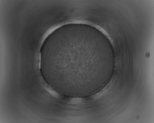X0000101431223200807141233