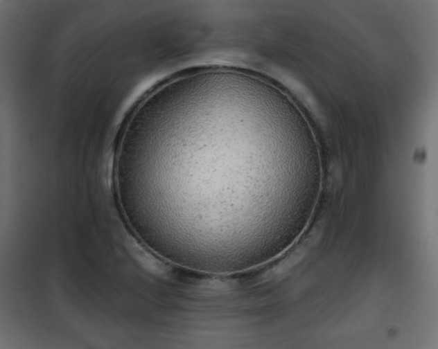 X0000101431224200807141233