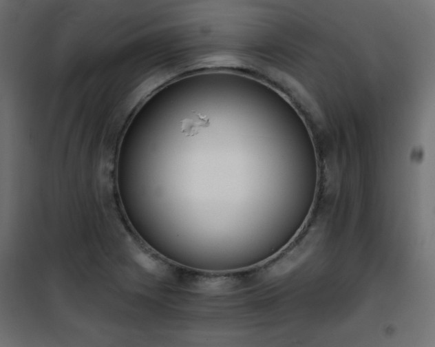 X0000101431225200807141233
